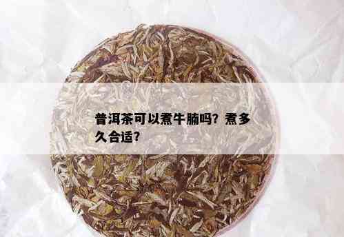 普洱茶可以煮牛腩吗？煮多久合适？