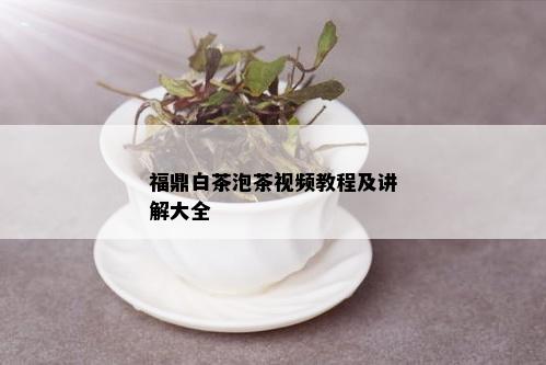 福鼎白茶泡茶视频教程及讲解大全