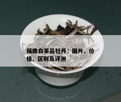 福鼎白茶品牡丹：图片、价格、区别及评测