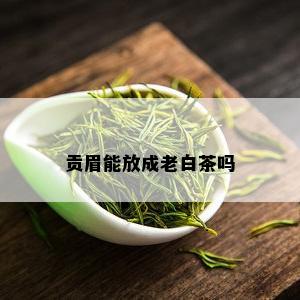 贡眉能放成老白茶吗