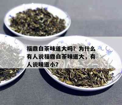 福鼎白茶味道大吗？为什么有人说福鼎白茶味道大，有人说味道小？