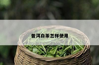 普洱白茶怎样使用