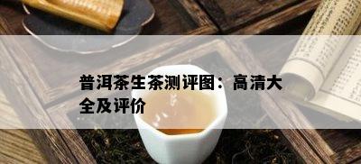 普洱茶生茶测评图：高清大全及评价