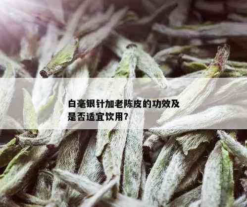 白毫银针加老陈皮的功效及是否适宜饮用？