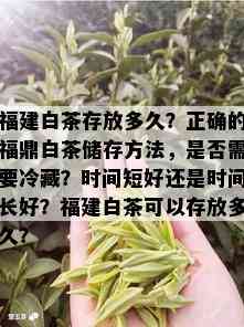 福建白茶存放多久？正确的福鼎白茶储存方法，是否需要冷藏？时间短好还是时间长好？福建白茶可以存放多久？