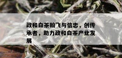 政和白茶翰飞与信忠，创传承者，助力政和白茶产业发展