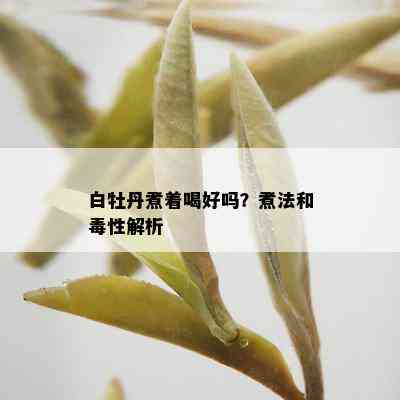 白牡丹煮着喝好吗？煮法和性解析