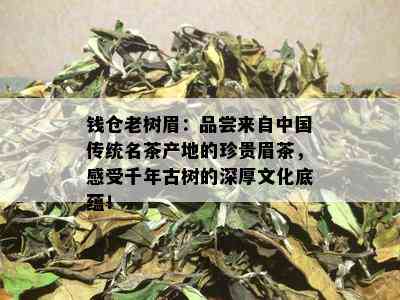 钱仓老树眉：品尝来自中国传统名茶产地的珍贵眉茶，感受千年古树的深厚文化底蕴！