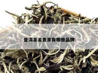 普洱茶名贵茶有哪些品牌