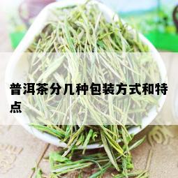 普洱茶分几种包装方式和特点