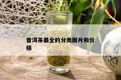 普洱茶最全的分类图片和价格