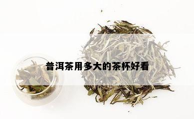 普洱茶用多大的茶杯好看