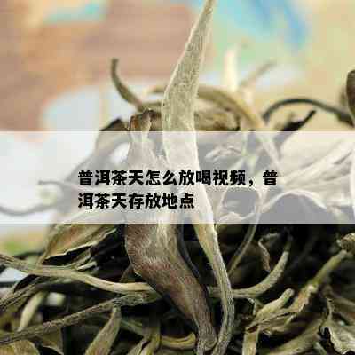 普洱茶天怎么放喝视频，普洱茶天存放地点