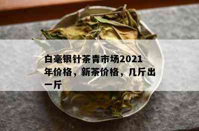 白毫银针茶青市场2021年价格，新茶价格，几斤出一斤