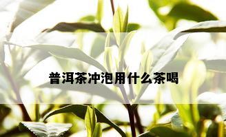 普洱茶冲泡用什么茶喝