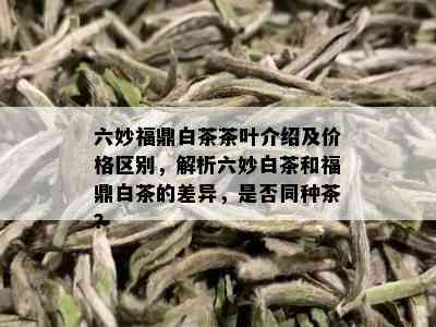 六妙福鼎白茶茶叶介绍及价格区别，解析六妙白茶和福鼎白茶的差异，是否同种茶？