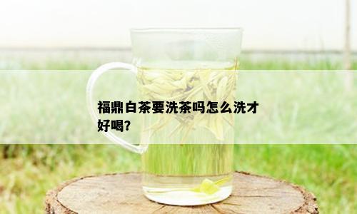 福鼎白茶要洗茶吗怎么洗才好喝？