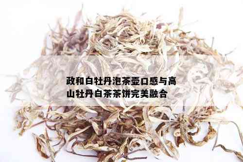 政和白牡丹泡茶壶口感与高山牡丹白茶茶饼完美融合