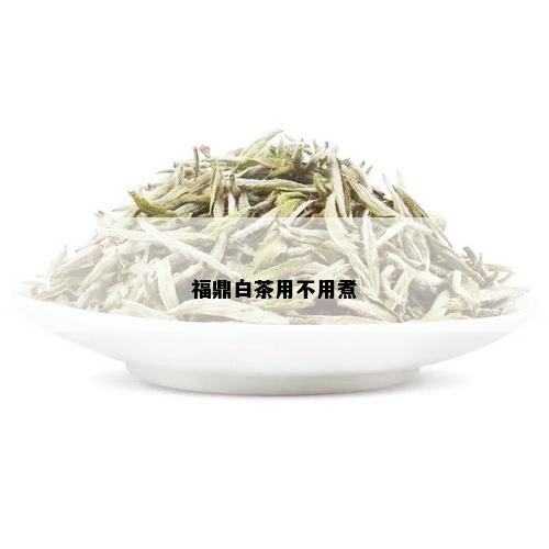 福鼎白茶用不用煮