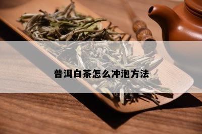 普洱白茶怎么冲泡方法