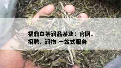 福鼎白茶润品茶业：官网、招聘、润物 一站式服务