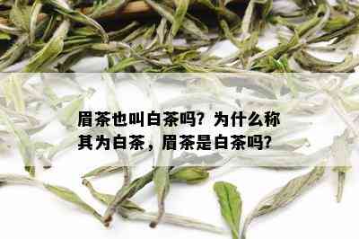 眉茶也叫白茶吗？为什么称其为白茶，眉茶是白茶吗？