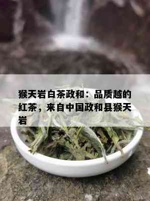 猴天岩白茶政和：品质越的红茶，来自中国政和县猴天岩