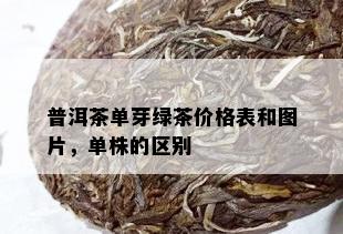 普洱茶单芽绿茶价格表和图片，单株的区别