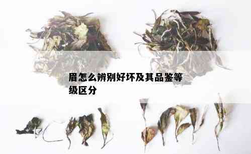 眉怎么辨别好坏及其品鉴等级区分