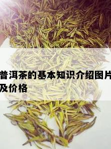 普洱茶的基本知识介绍图片及价格