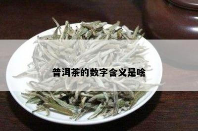 普洱茶的数字含义是啥