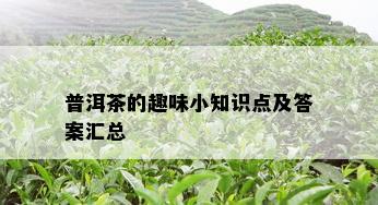 普洱茶的趣味小知识点及答案汇总