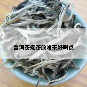 普洱茶煮茶放啥茶好喝点