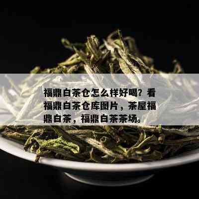 福鼎白茶仓怎么样好喝？看福鼎白茶仓库图片，茶屋福鼎白茶，福鼎白茶茶场。