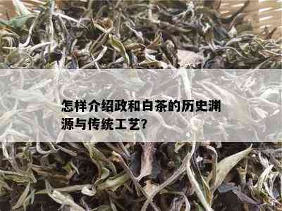 怎样介绍政和白茶的历史渊源与传统工艺？