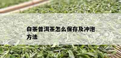 白茶普洱茶怎么保存及冲泡方法