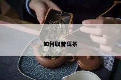 如何取普洱茶