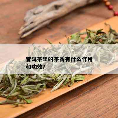 普洱茶里的茶香有什么作用和功效？