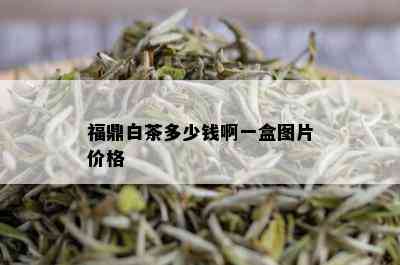 福鼎白茶多少钱啊一盒图片价格