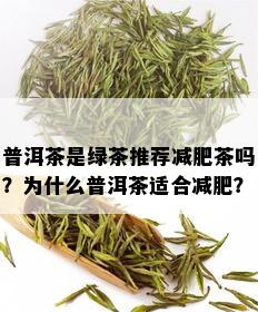 普洱茶是绿茶推荐减肥茶吗？为什么普洱茶适合减肥？