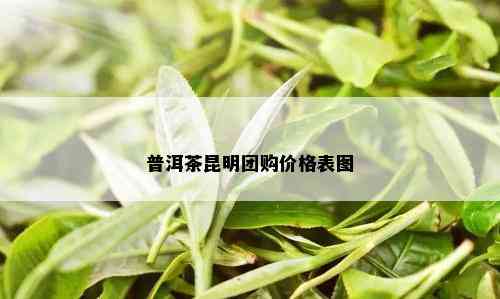 普洱茶昆明团购价格表图