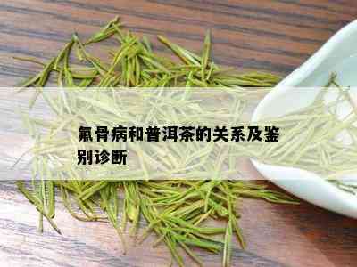 氟骨病和普洱茶的关系及鉴别诊断