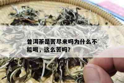 普洱茶是苦尽来吗为什么不能喝，这么苦吗？