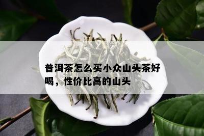 普洱茶怎么买小众山头茶好喝，性价比高的山头