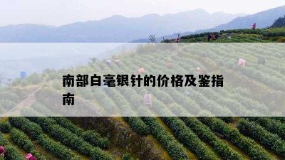 南部白毫银针的价格及鉴指南