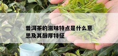 普洱茶的滋味特点是什么意思及其醇厚特征