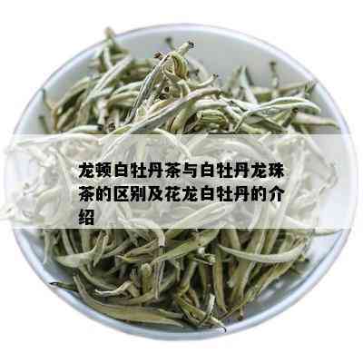 龙顿白牡丹茶与白牡丹龙珠茶的区别及花龙白牡丹的介绍