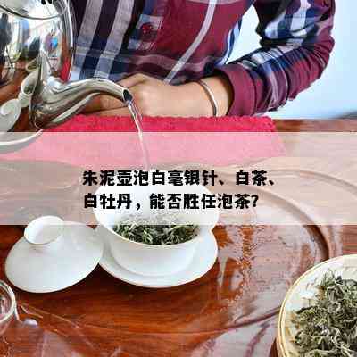 朱泥壶泡白毫银针、白茶、白牡丹，能否胜任泡茶？