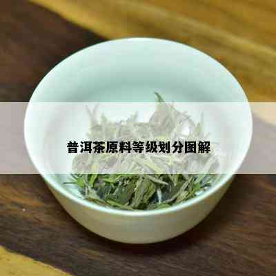 普洱茶原料等级划分图解