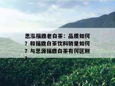 思泓福鼎老白茶：品质如何？和福鼎白茶饮料销量如何？与思源福鼎白茶有何区别？